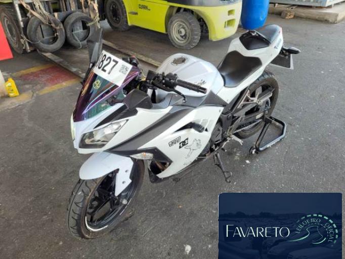 KAWASAKI NINJA 300 13/13